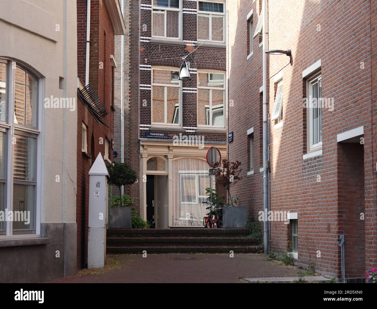 Allee in Dordrecht, Niederlande Stockfoto