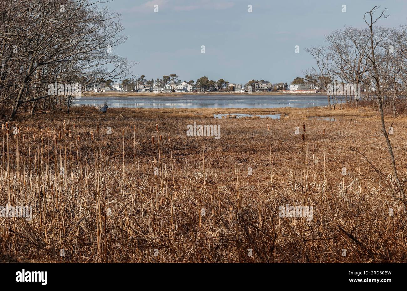 Es ist ein großer Gezeitenpool vor Saco Bay an der Südküste von Maine. Rund 6 Meilen vom Stadtzentrum von Biddeford. Die Stadt Kennebunkport ist etwa 3 km entfernt Stockfoto