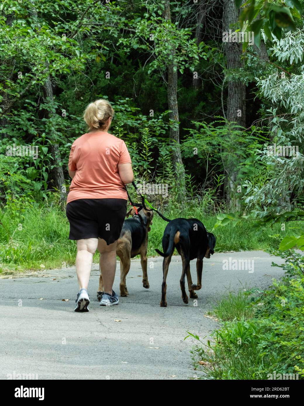Eine Erwachsene weiße Frau in Sommerkleidung führt zwei Hunde auf einem Naturpfad in Wichita, Kansas, USA. Stockfoto