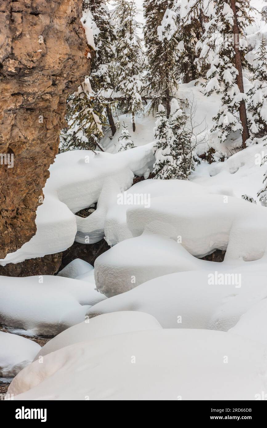 Schneeschuhwanderung im Lamar Valley im Yelllowstone-Nationalpark. Stockfoto