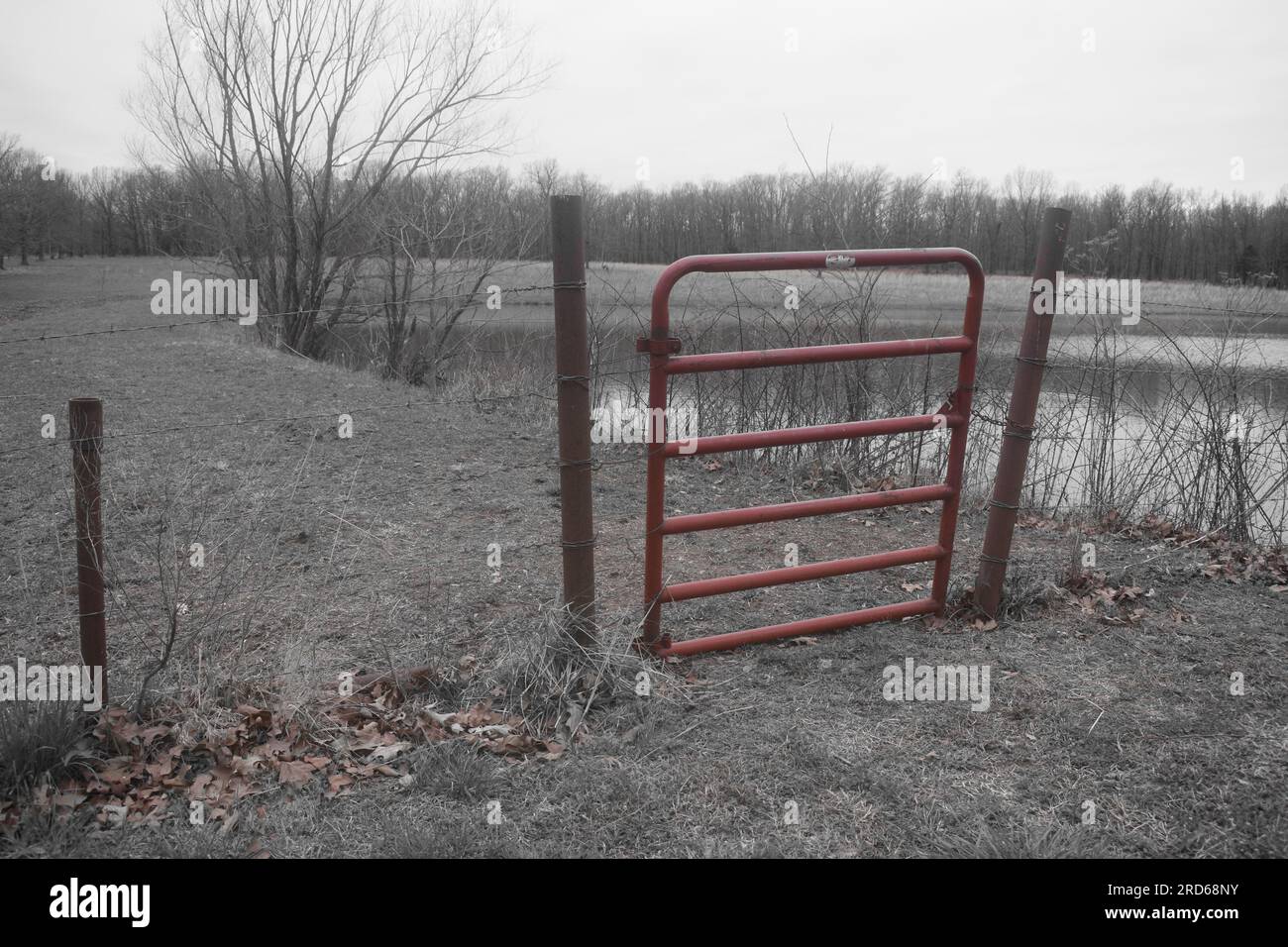 Ein geschlossenes Metalltor, das die Grenze zwischen dem Hof und dem Feld markiert, auf dem sich der Fischteich befindet. Gedeckte Farbe mit hervorgehobenem rotem Anschnitt. Stockfoto