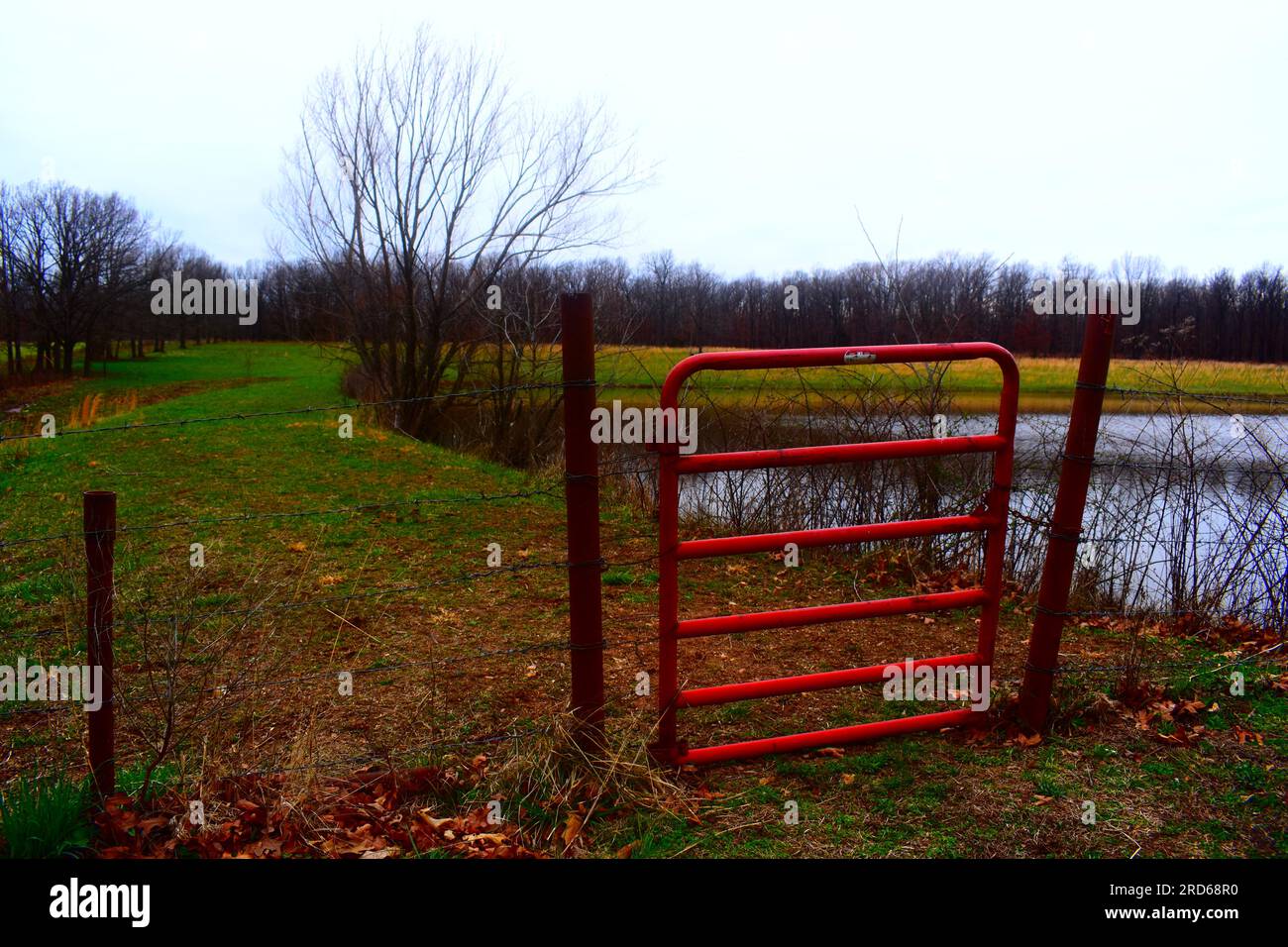 Ein geschlossenes Metalltor, das die Grenze zwischen dem Hof und dem Feld markiert, auf dem sich der Fischteich befindet. Lebendige, satte Farben. Stockfoto