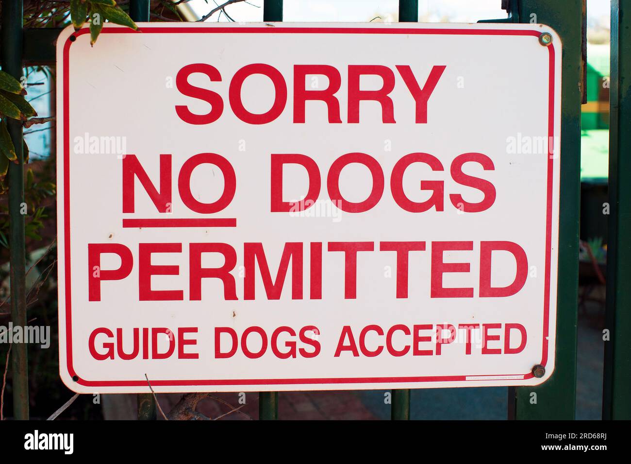 Leider sind keine Hunde erlaubt. Zeichen mit Grammatikfehler im Text; 'akzeptiert' muss ' ausgenommen' sein Stockfoto