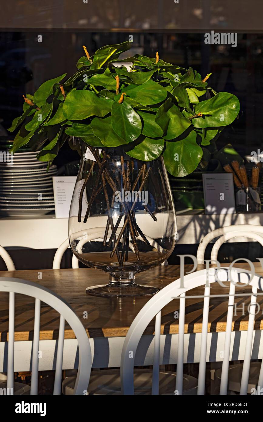 Ballarat Australien/Haushaltswaren, die im Provincial Home Living Store zum Verkauf angeboten werden. Stockfoto