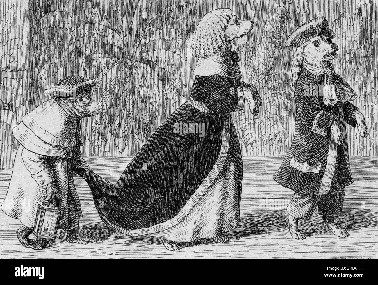 zoologie / Tiere, Karikatur, "die Promenade von Madame Pompadour", DAS URHEBERRECHT DES KÜNSTLERS MUSS NICHT GEKLÄRT WERDEN Stockfoto
