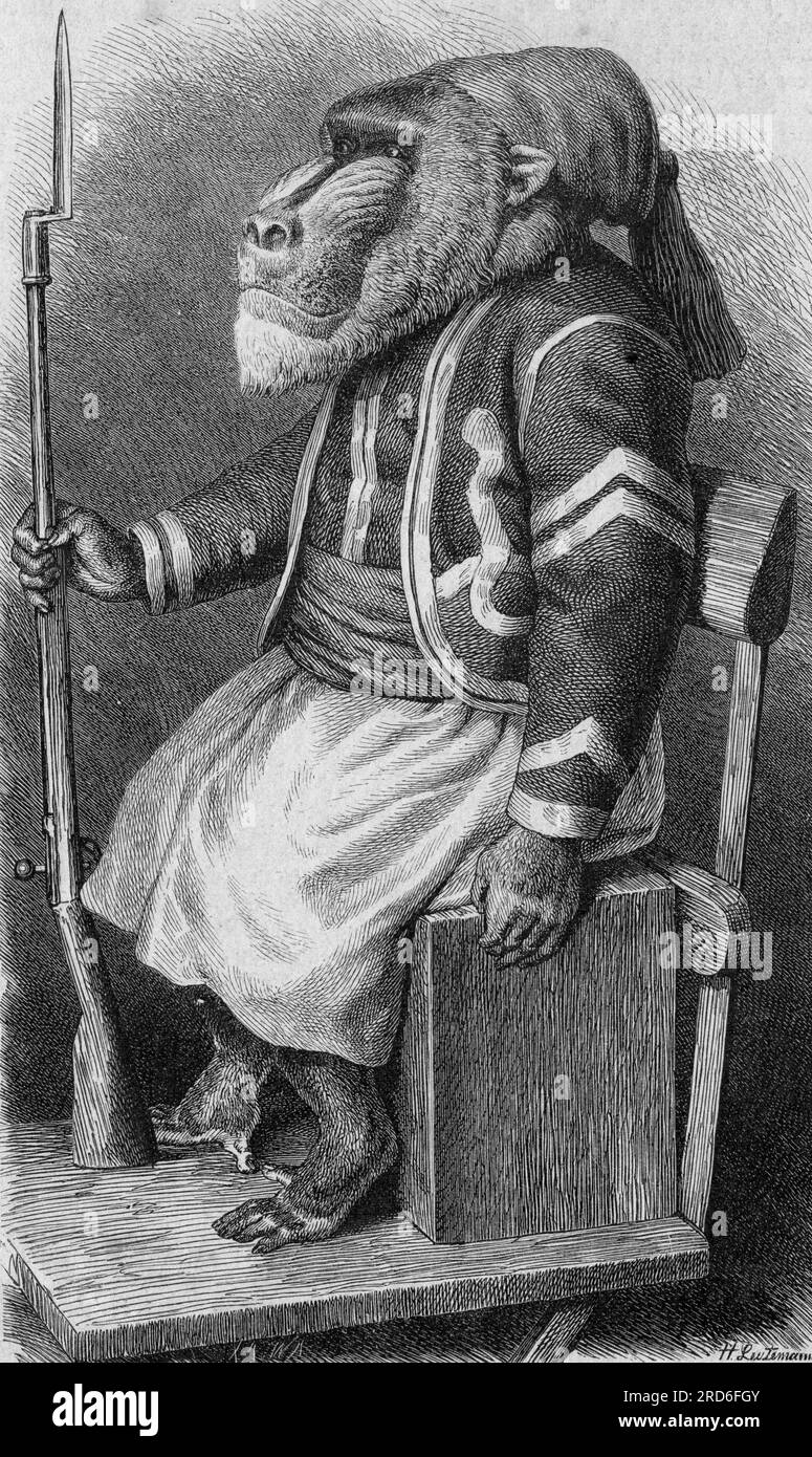 zoologie / Tiere, Karikatur, „die Mandrill als Säule der französischen Zivilisation“, DAS URHEBERRECHT DES KÜNSTLERS MUSS NICHT GEKLÄRT WERDEN Stockfoto