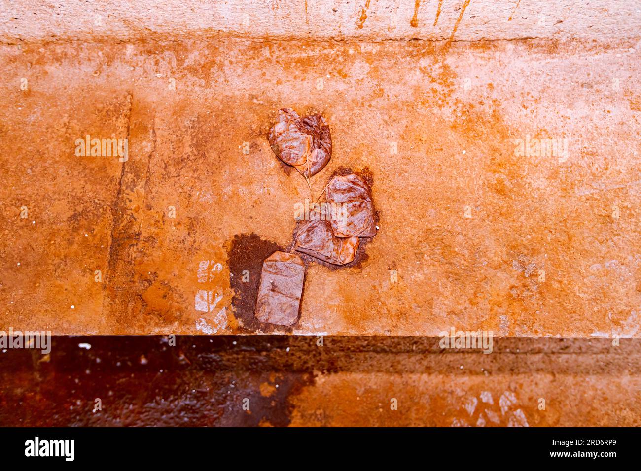 Nach der Teezeit warfen die Arbeiter nasse Teebeutel auf die Orange, schmutzig, mit Kaffee verschmiert, Betonboden des Gebäudes im Bau. Stockfoto