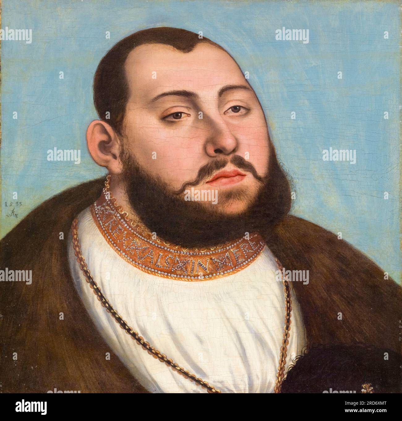 John Frederick I (1503-1554) nannte den Magnanimous, Elector of Sachsen (1532-1547), Porträtmalerei in Tempera und Öl auf Leinwand, übertragen von Lucas Cranach dem Ältesten, 1533 Stockfoto