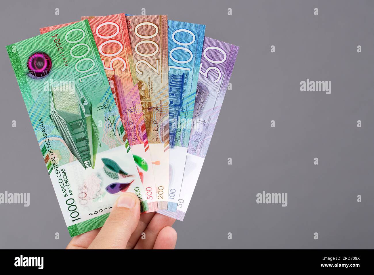 Nicaraguanisches Geld - cordoba in der Hand auf grauem Hintergrund Stockfoto