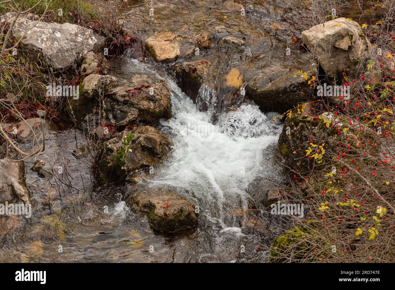 Fließender Fluss, ein ruhiger Tanz inmitten der malerischen Leinwand der Natur Stockfoto