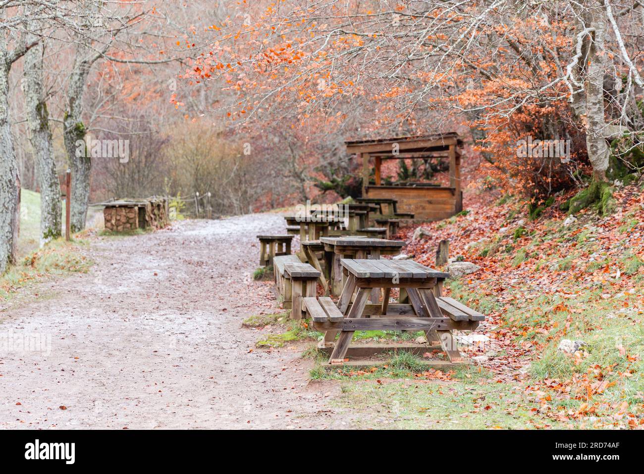 Folgen Sie dem Pfad mit Merendero-Tischen, einem rustikalen Rückzugsort inmitten der bezaubernden braunen Herbstlandschaft Stockfoto