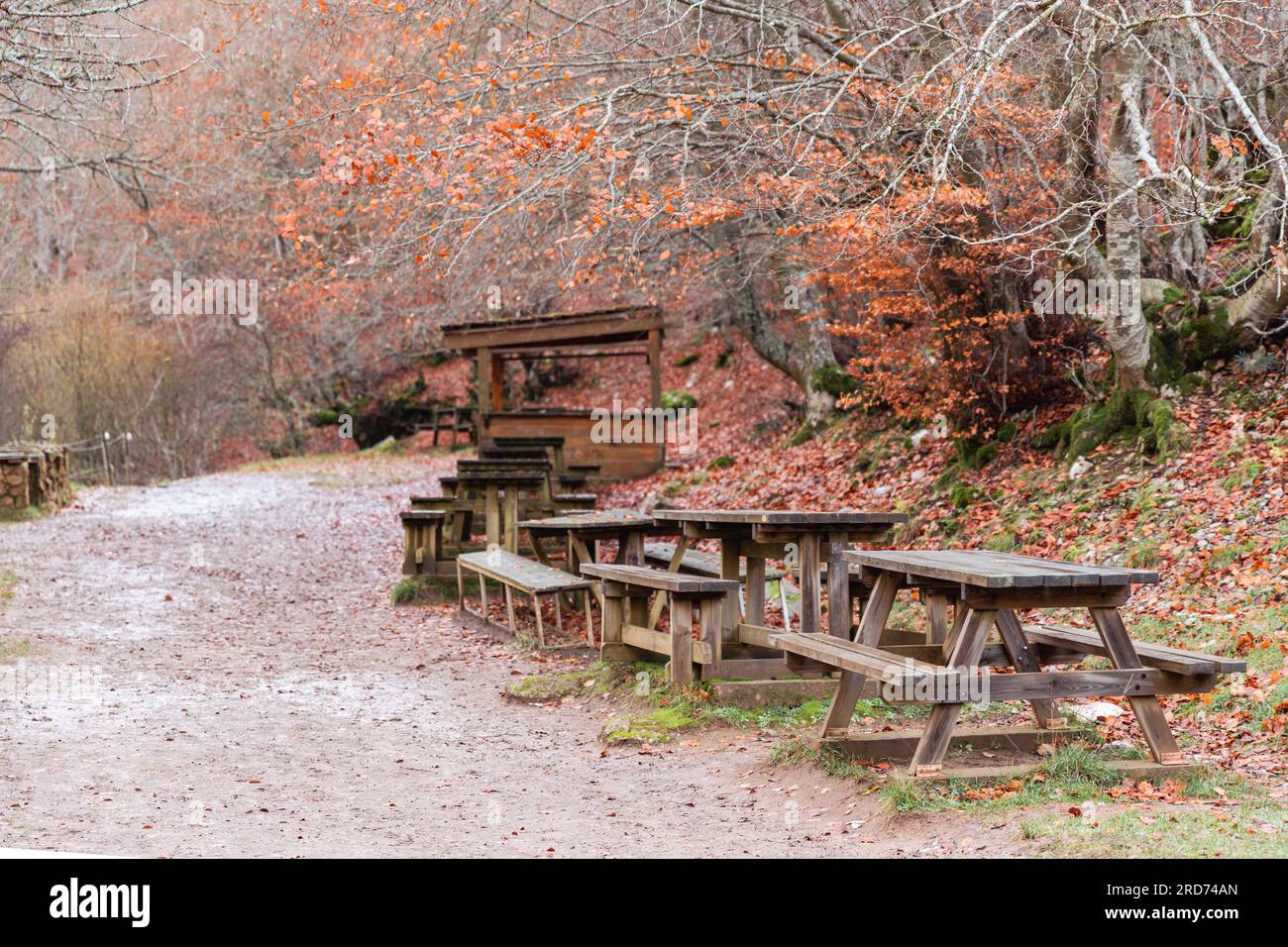 Folgen Sie dem Pfad mit Merendero-Tischen, einem rustikalen Rückzugsort inmitten der bezaubernden braunen Herbstlandschaft Stockfoto