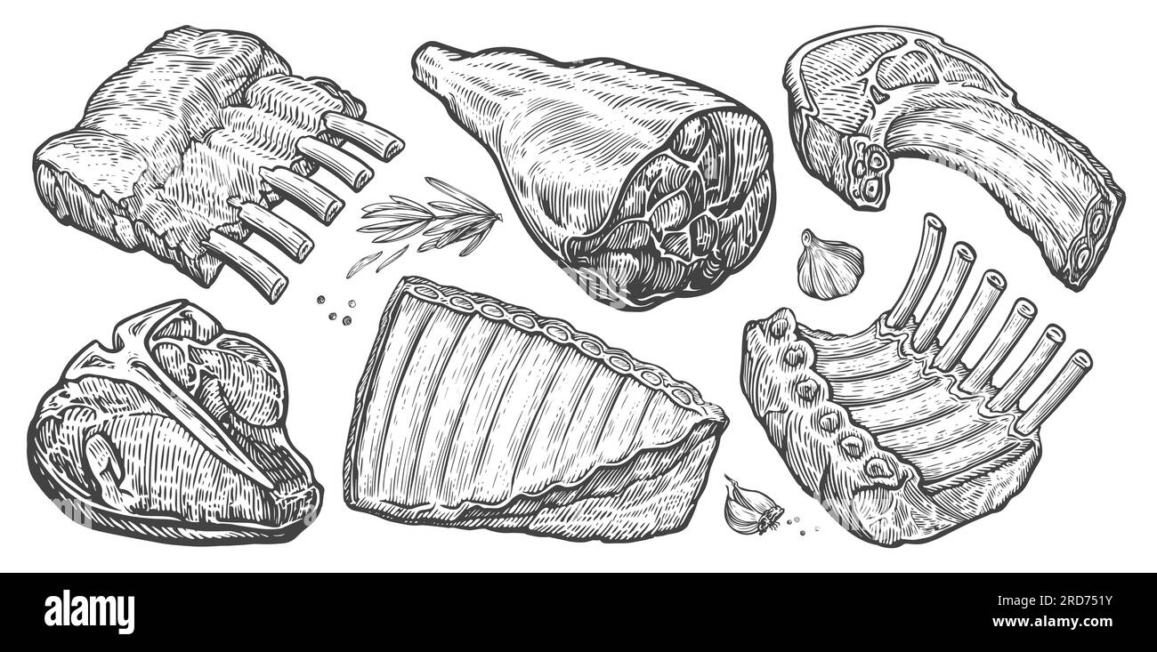 Steak, Rippchen, Schinken, Speck. Teile von rohem Fleisch aus dem Betrieb. Handgezeichnete Skizzen im Gravurstil Stockfoto