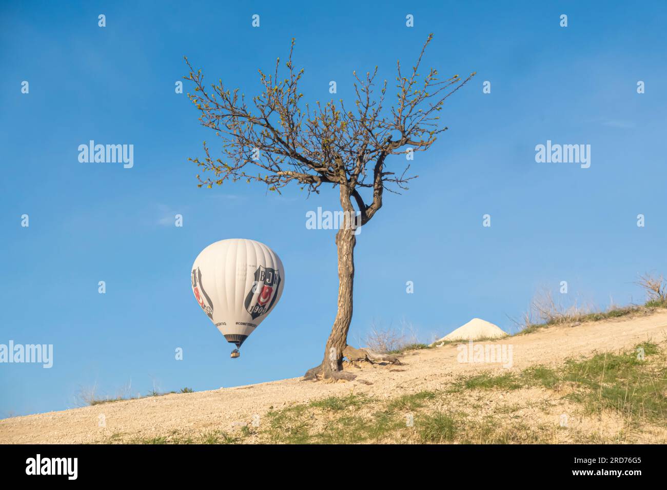 Heißluftballon gegenüber dem eigenständigen Baum Kappadokien Türkei Stockfoto