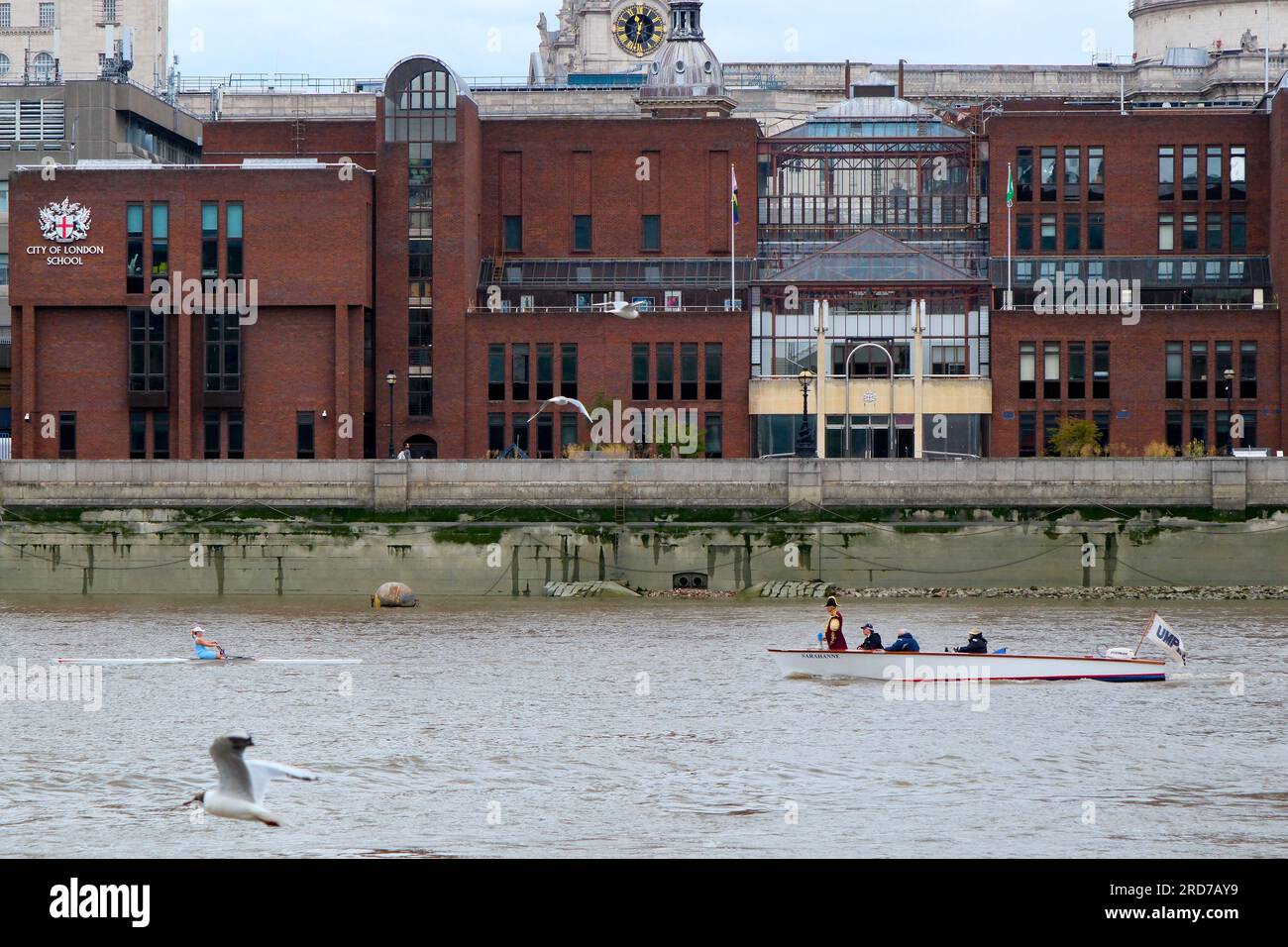 London, Großbritannien. 19. Juli 2023 Doggett's Coat and Badge Bootsrennen von London Bridge nach Chelsea. Mit Konkurrenten von Auszubildenden der Company of Watermen and Lightermen. Kredit: Matthew Chattle/Alamy Live News Stockfoto