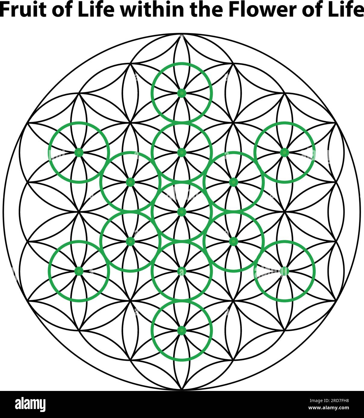  Blume des lebens mandala -Fotos und -Bildmaterial in hoher Auflösung Illustration 