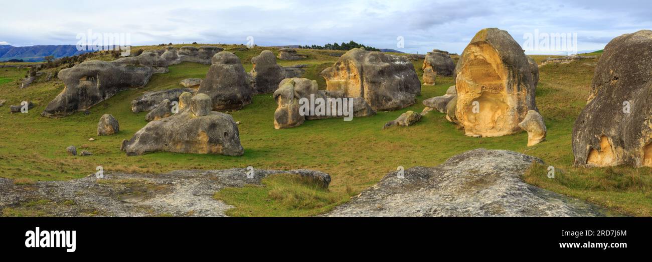 Panoramablick auf die Elefantenfelsen, ein Feld mit riesigen Kalksteinfelsen auf der Südinsel Neuseelands Stockfoto