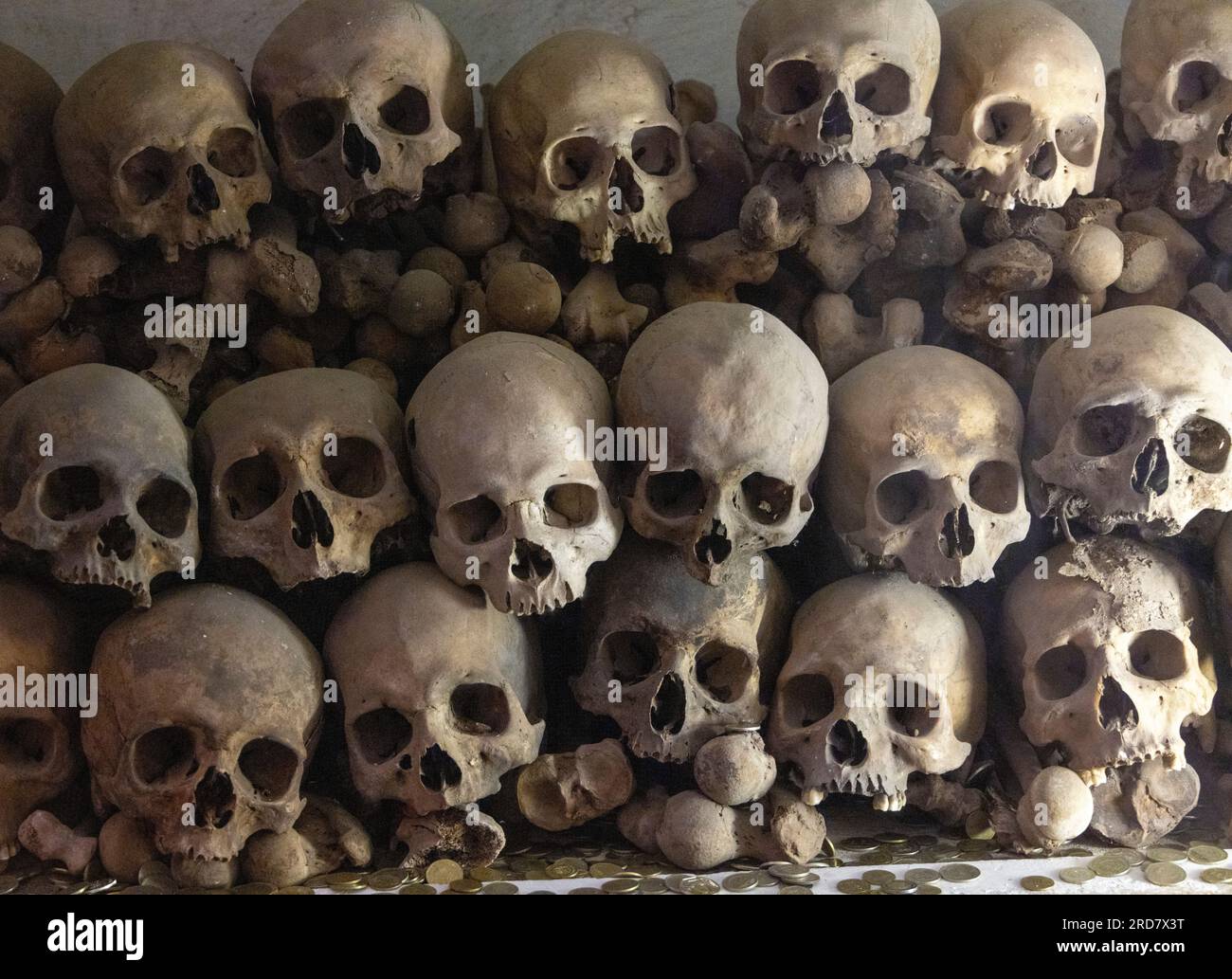 Schädel in der Krypta, Lima Kathedrale, Peru Stockfoto