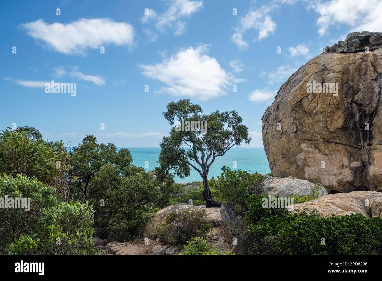 Mutter Beddock, Rose Bay, Bowen, Queensland, Australien Stockfoto