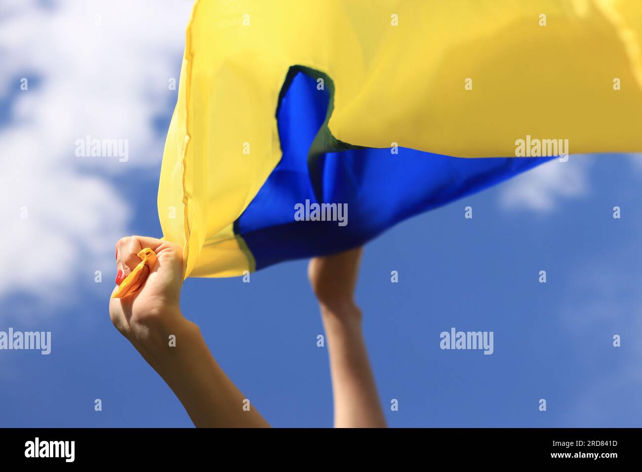 Frauenhände mit der ukrainischen Flagge am Himmel. Die ukrainische Flagge flattert im Wind. Unabhängigkeitstag der Ukraine. Gelb-blaue Flagge Stockfoto