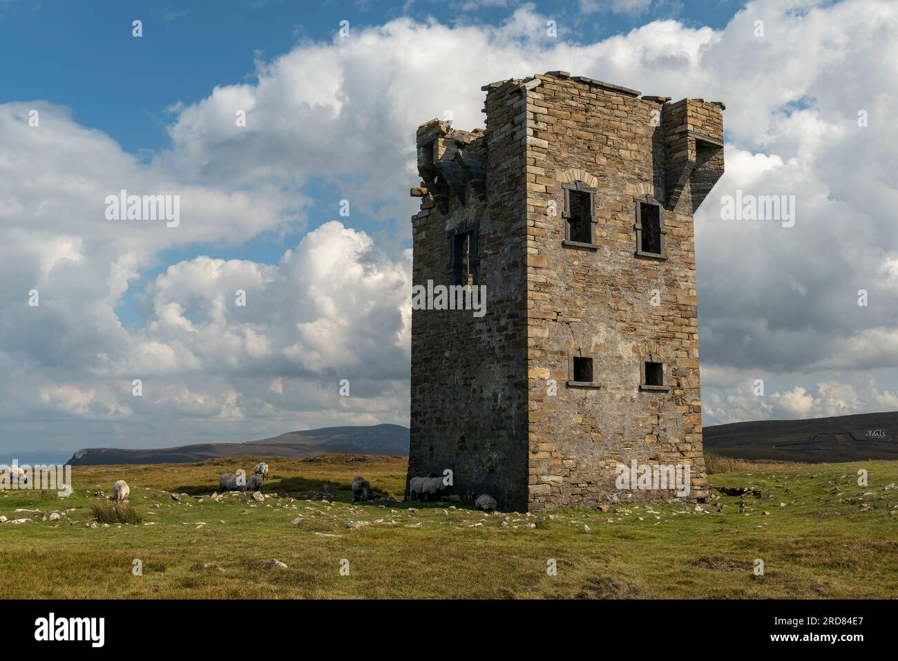 Schafherde, die um den Glencolumbkille-Signalturm unter einem dramatischen bewölkten Himmel weiden, County Donegal, Irland Stockfoto