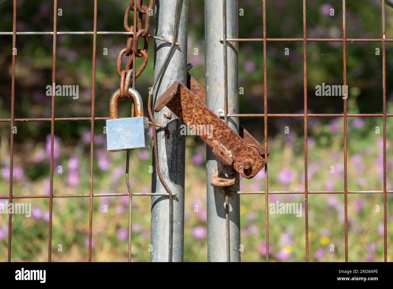 Detail des Schließbereichs der industriellen Außentore mit Kette und Vorhängeschloss Stockfoto