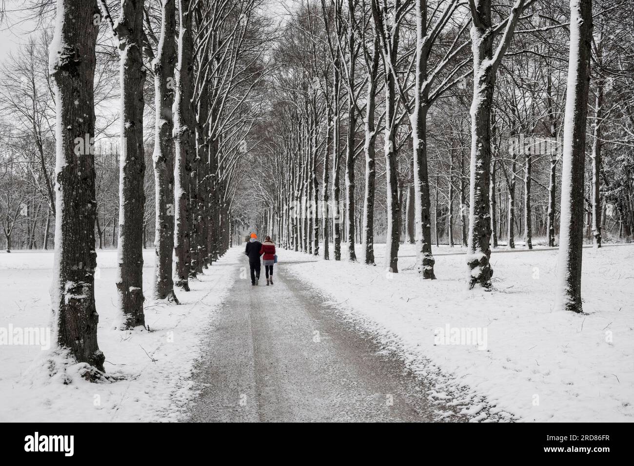 Deutschland, Bayern, München, Schleissheim Palace Park, ein Paar, das an einem verschneiten Sonntagmorgen mit schneebedeckten Bäumen im Park spaziert. Stockfoto