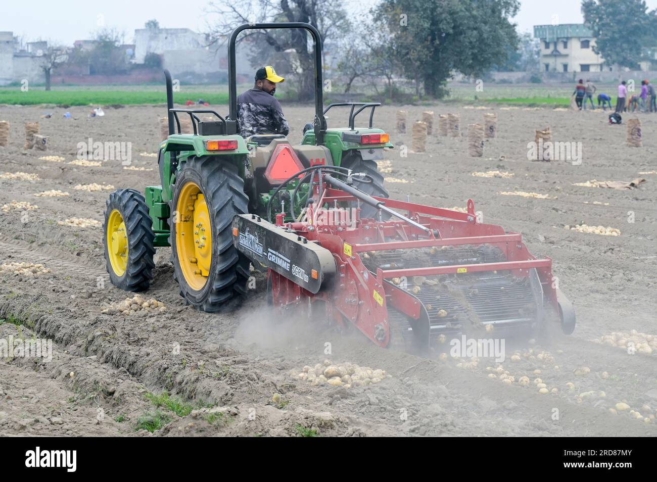 INDIEN, Punjab, Jalandhar, Sangha Group, Saatkartoffelzucht, Ernten Sie mit John Deere Traktor und Grimme-Shaktiman Kartoffelgräber / INDIEN, Punjab, Jalandhar, Sangha Gruppe, Anbau und Vermehrung von Saatgutkartoffeln, Ernte mit John Deere Traktor und Grimme Shaktiman Rodemaschine Stockfoto