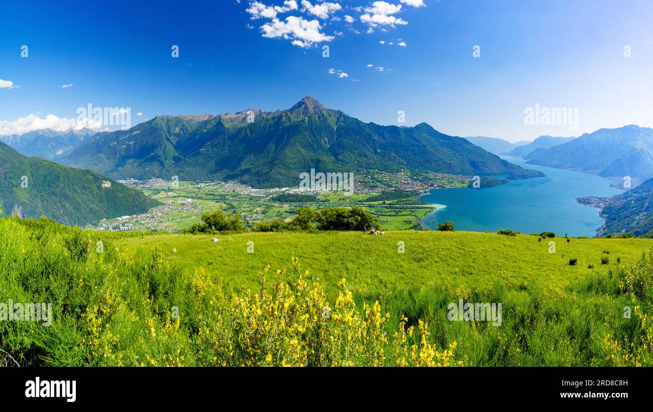 Panoramablick auf Monte Legnone und Alto Lario von blühenden Wiesen über dem Comer See, Bugiallo, der Provinz Como, der Lombardei, den italienischen Seen, Italien, Europa Stockfoto