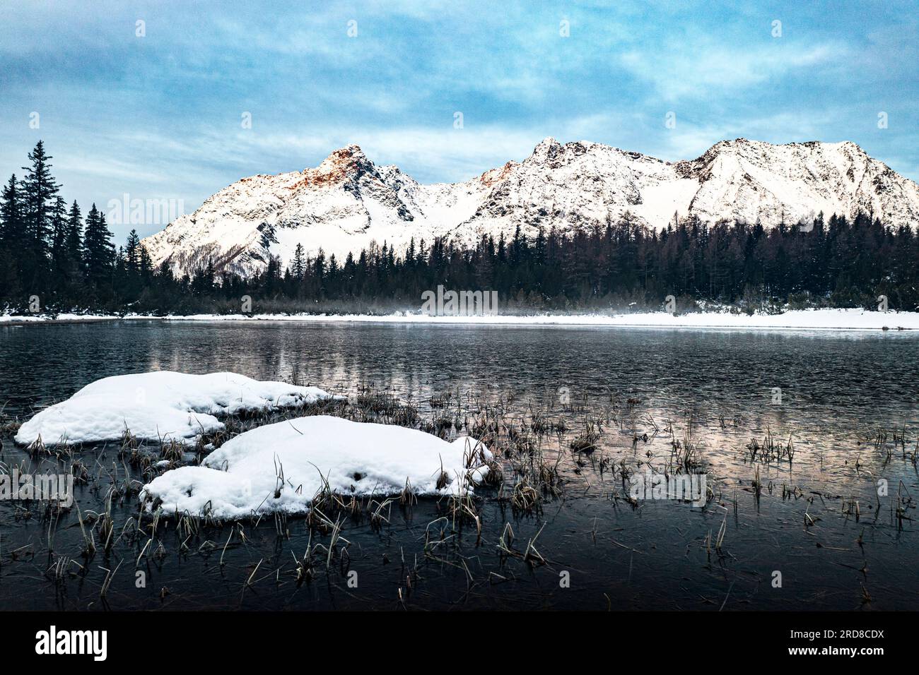 Verschneiter Wald und Berge um den gefrorenen See Entova, Valmalenco, Valtellina, Lombardei, Italien, Europa Stockfoto