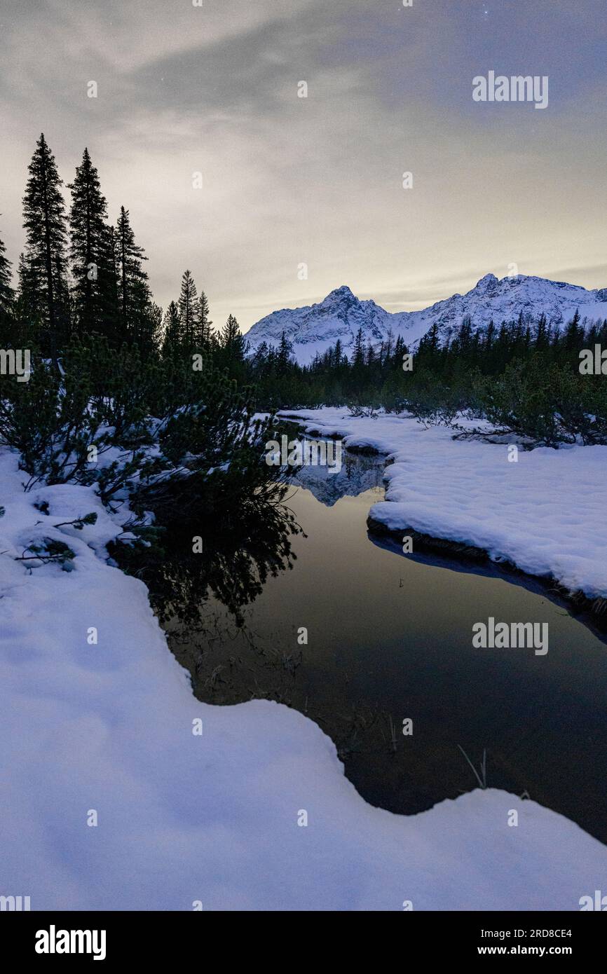 Verschneiter Wald am Ufer des gefrorenen Entova-Sees während einer kalten Nacht, Valmalenco, Valtellina, Provinz Sondrio, Lombardei, Italien, Europa Stockfoto