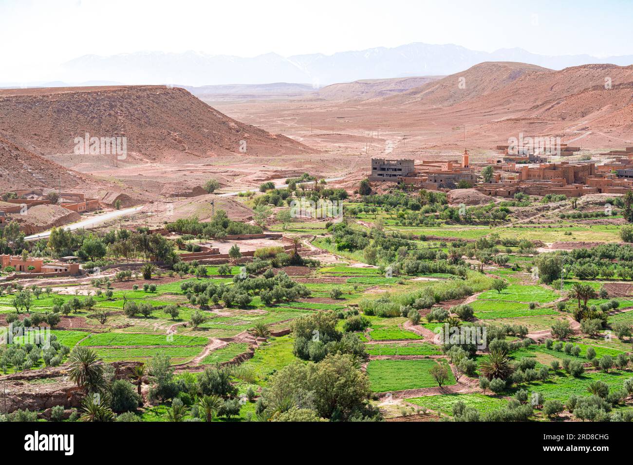 Blick aus der Vogelperspektive auf Ait Ben Haddou ksar, UNESCO-Weltkulturerbe, umgeben von grünen Feldern, Provinz Ouarzazate, Marokko, Nordafrika, Afrika Stockfoto