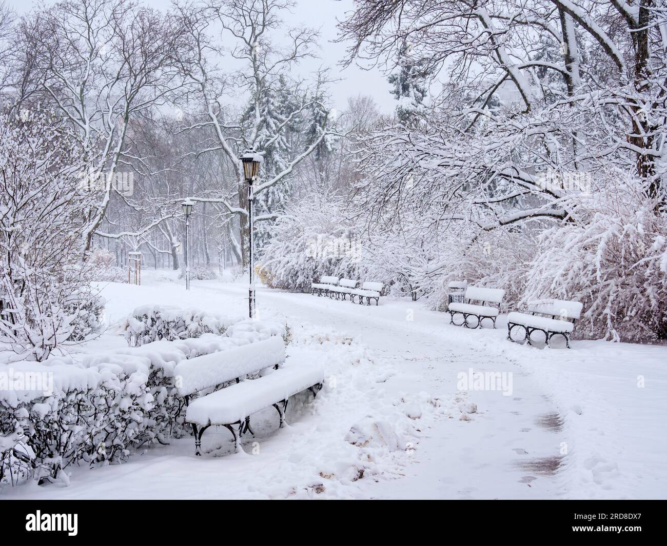 Sächsischer Garten, Winter, Warschau, Woiwodschaft Masowien, Polen, Europa Stockfoto