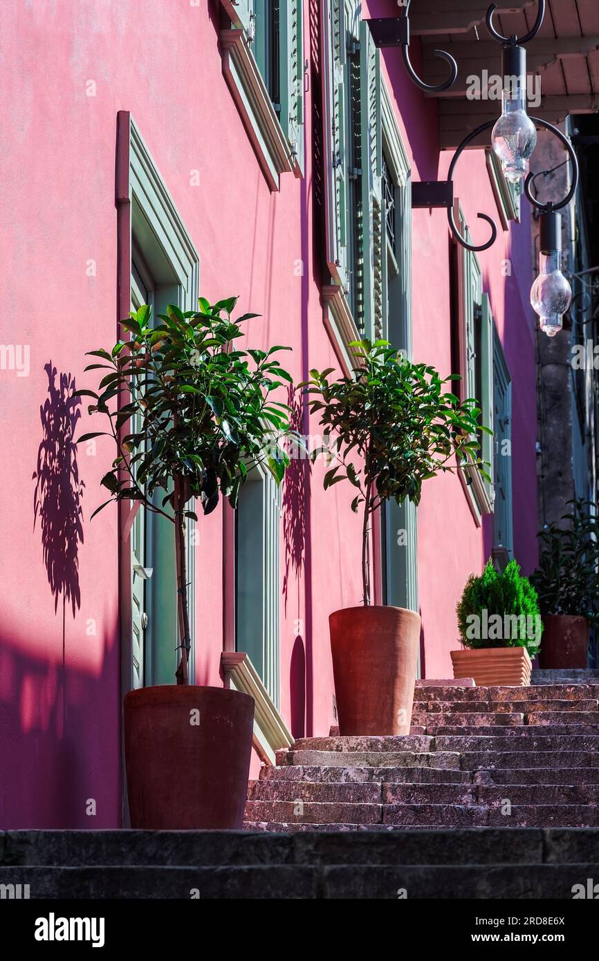 Eine Treppe mit großen dekorativen Pflanzentöpfen vor einem traditionellen Haus mit einer lebhaften Wandfarbe und hölzernen Fensterläden in Nafplion, Peloponnes, Griechenland Stockfoto