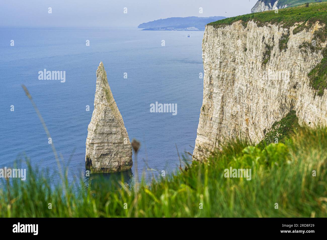 Felsenspitze vor der Jurassic Coast, Old Harry Rocks, UNESCO-Weltkulturerbe, Studland, Dorset, England, Vereinigtes Königreich, Europa Stockfoto
