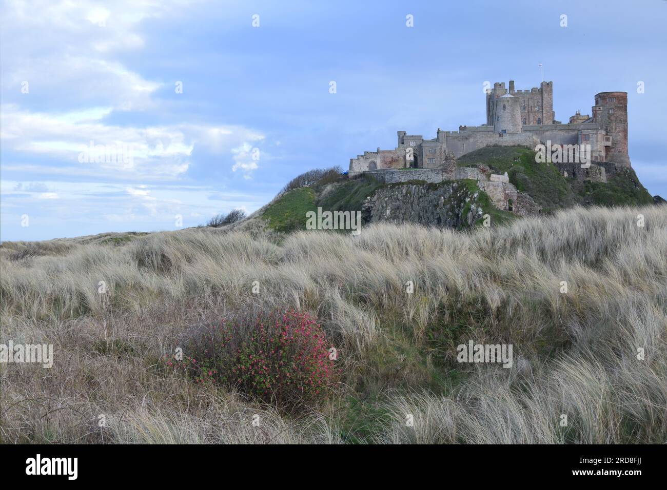 Bamburgh Castle, Bamburgh, Northumberland Coast, Northumbria, England, Großbritannien, Europa Stockfoto