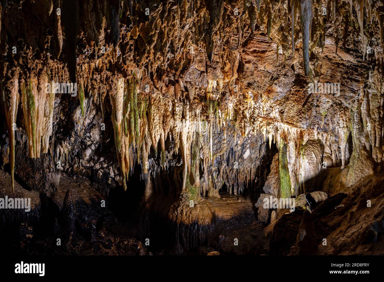 Die steifen Höhlen sind ein Komplex von Karsthöhlen in der Nähe von Stiffe, in der Gemeinde San Demetrio ne' Vestini, in Abruzzen, die im Sirent enthalten sind Stockfoto