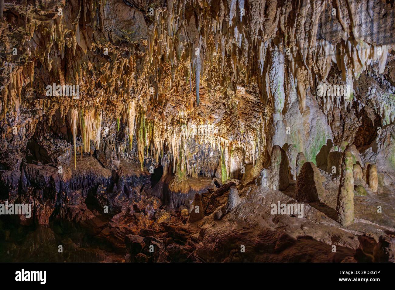 Die steifen Höhlen sind ein Komplex von Karsthöhlen in der Nähe von Stiffe, in der Gemeinde San Demetrio ne' Vestini, in Abruzzen, die im Sirent enthalten sind Stockfoto