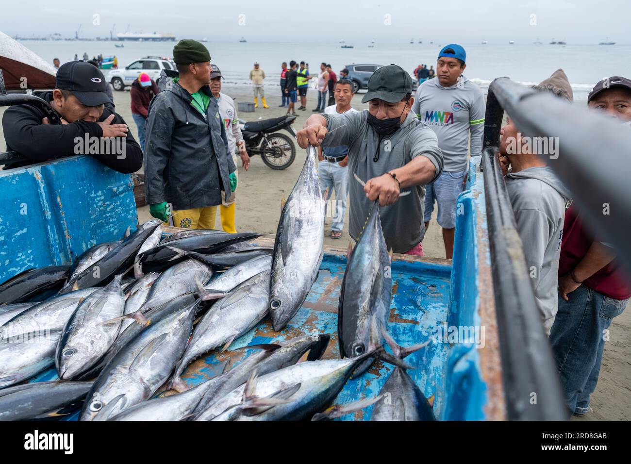 Fischmarkt, Tarqui Beach, Manta, Manabi, Ecuador, Südamerika Stockfoto