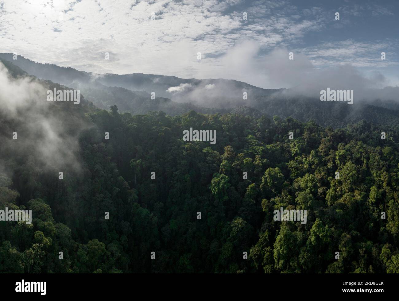 Luftaufnahme des Cloudforest, Mashpi, Reserva Mashpi Amagusa, Pichincha, Ecuador, Südamerika Stockfoto