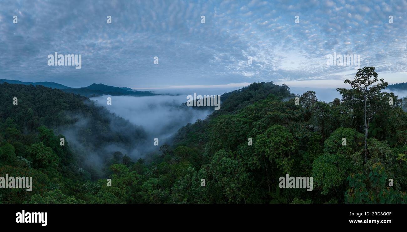 Luftaufnahme des Cloudforest, Mashpi, Reserva Mashpi Amagusa, Pichincha, Ecuador, Südamerika Stockfoto