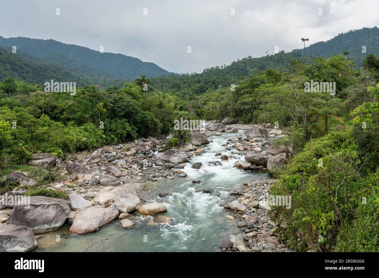 Cotundo, Provinz Napo, Amazonien, Ecuador, Südamerika Stockfoto
