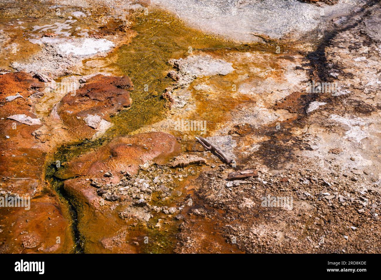 Geysirtextur aus dem Yellowstone-Nationalpark, Wyoming. Stockfoto