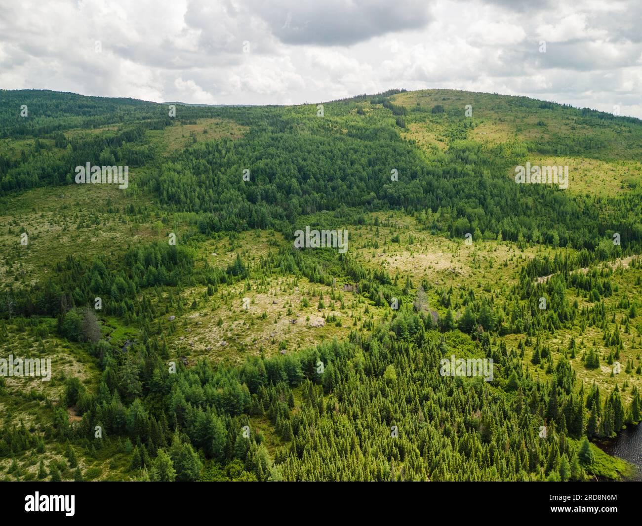 St-Urbain, Kanada - Juli 17 2023: Panoramaaussicht im Grands Jardins National Park in Quebec Stockfoto