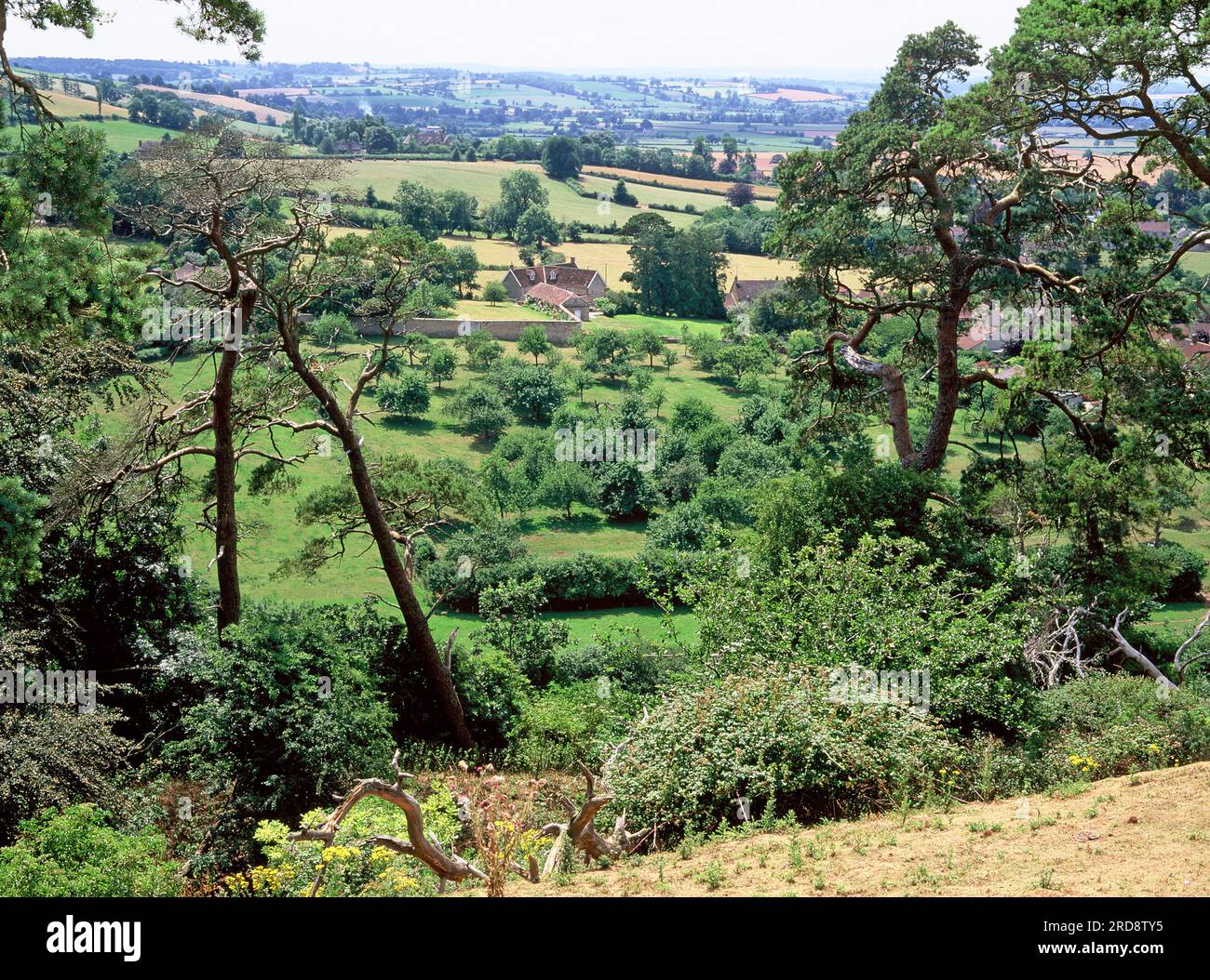England. Somerset. Südlich Von Cadbury. Blick auf die ländliche Landschaft vom Cadbury Castle Mound. Stockfoto