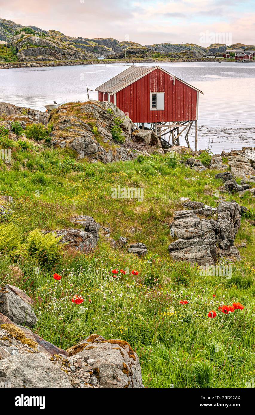 Einsame skandinavische Fischerhütte in der Nähe des Dorfes Napp auf der Insel Lofoten Flagstadoy, Norwegen Stockfoto