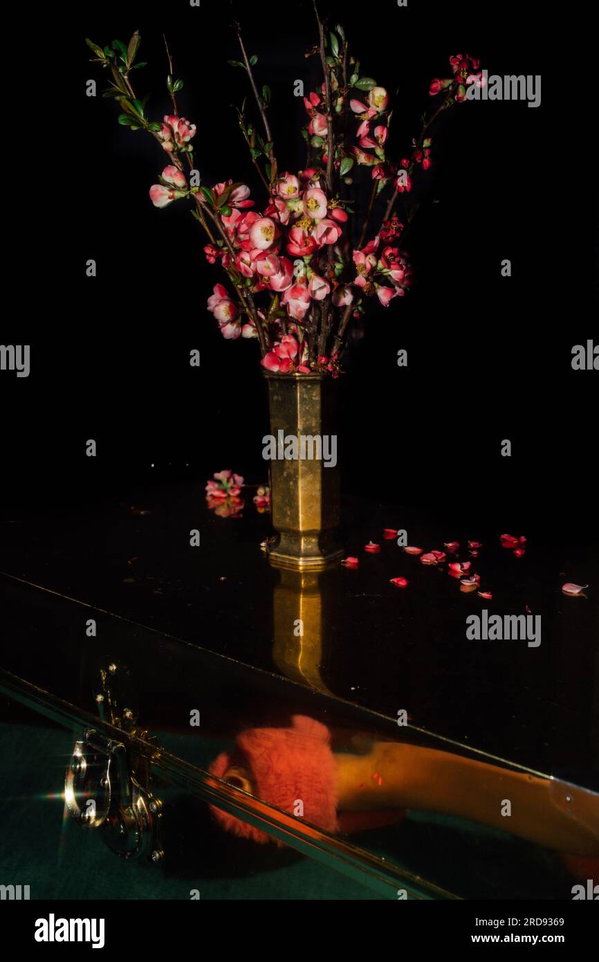Pinkfarbene, japanische Blütenzweige in Messingvase auf Messingkoffer mit einem Spiegelbild einer Frau in flauschigen pinken Hausschuhen Stockfoto