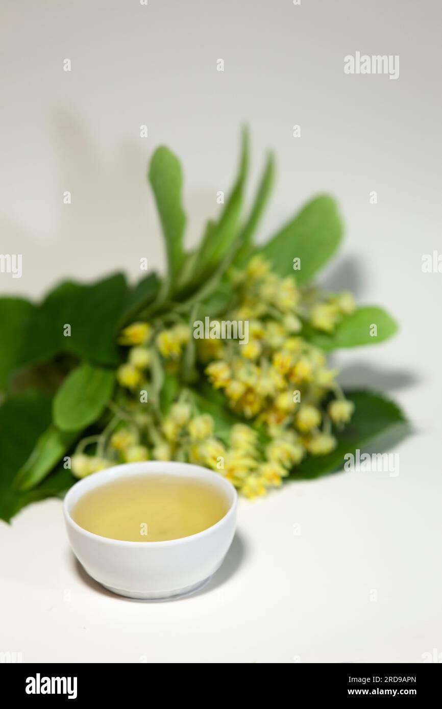 Sammelte Lindenblumen und Lindenhonig auf weißem Hintergrund. Stockfoto