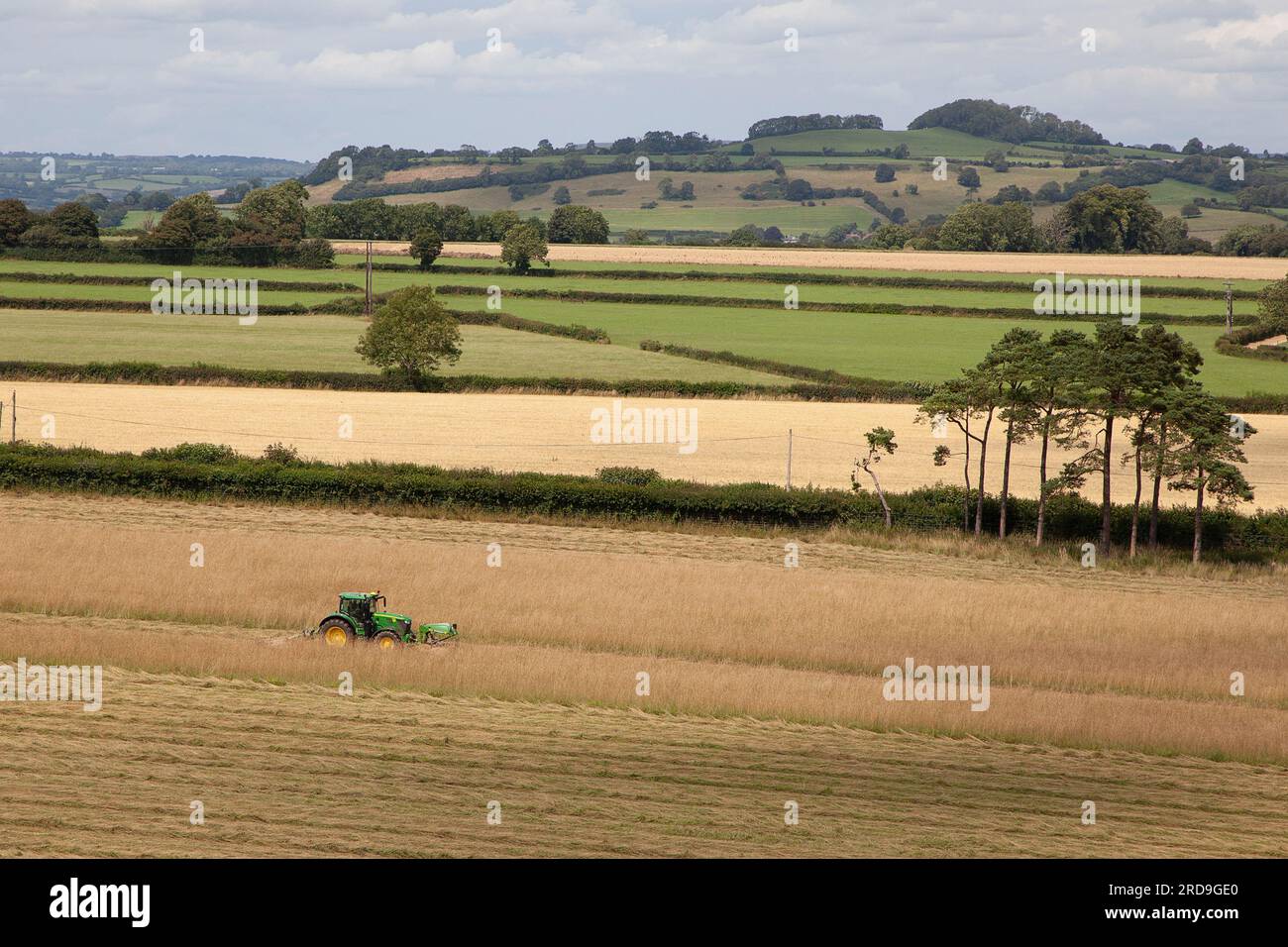 Ein Bauer fährt einen Traktor auf einem Feld beim Newt in der Nähe von Bruton/Castle Cary Somerset Stockfoto
