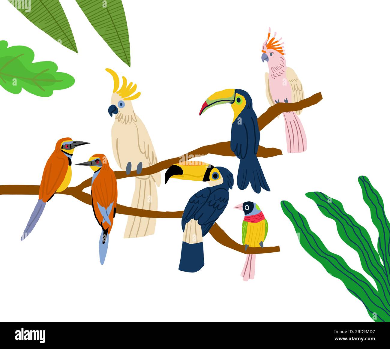 Verschiedene Arten exotischer Vögel. Grafische Darstellung des Vektorgrafiken-Cartoons. Vektordarstellung Stock Vektor